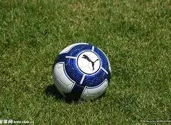 巅峰对决,法兰克福,多特蒙德,华体会,华体会体育,HuaTiHui,华体会体育官网